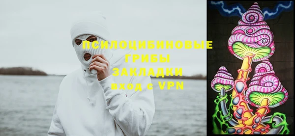 тгк Алзамай
