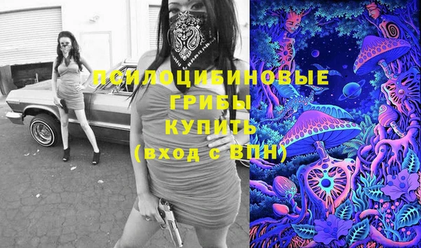 тгк Алзамай