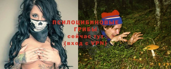 тгк Алзамай