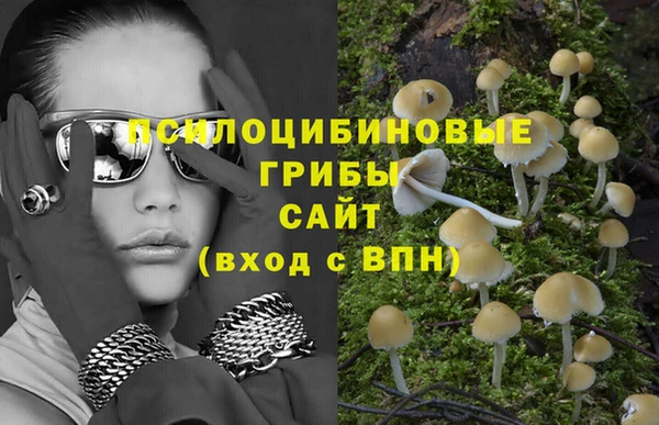 тгк Алзамай
