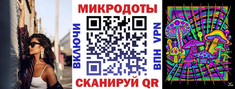 Галлюциногенные грибы Psilocybine cubensis  Казань 