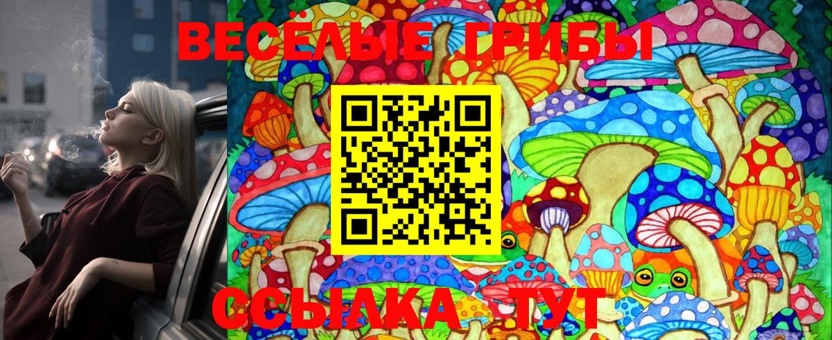 Псилоцибиновые грибы Psilocybe  Вход с VPN  Казань 