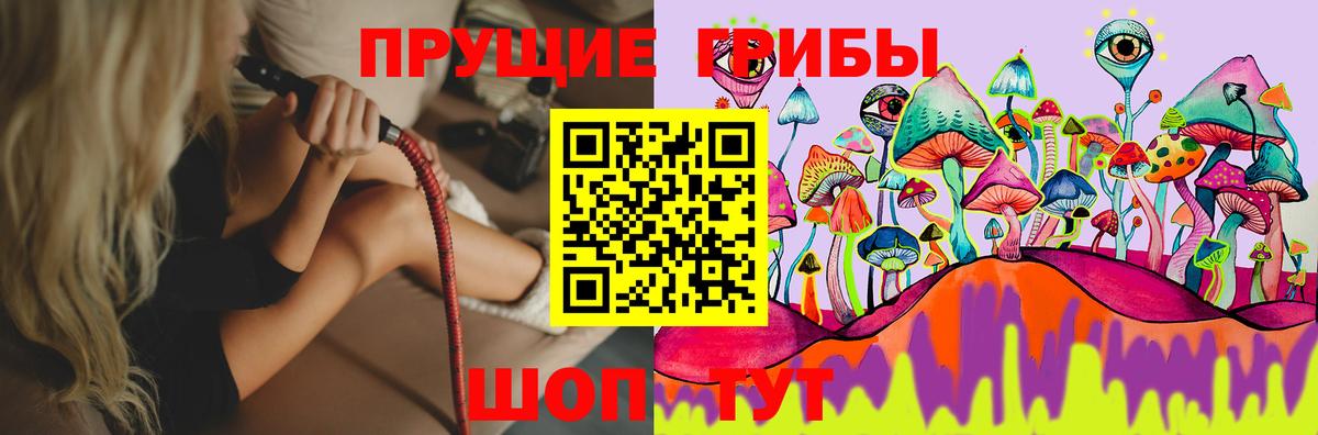 Псилоцибиновые грибы мицелий Казань